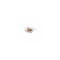 Assiette carrée eco-line en pulpe de canne 20 x 20 cm - par 50