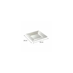 Assiette carrée réutilisable PS nacré 240 mm - par 12