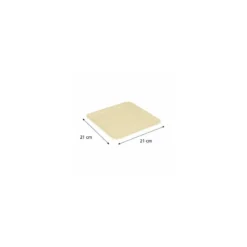 Assiette carton ingraissable kraft brun 210 x 210 mm - par 100