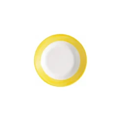 Assiette plate brush jaune ø 15,5 cm - par 24