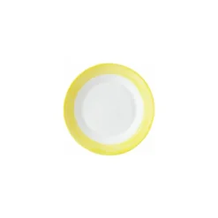 Assiette plate brush jaune ø 19,5 cm - par 24