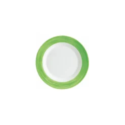 Assiette plate brush verte ø 15,5 cm - par 24