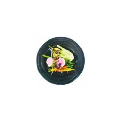 Assiette ronde PP noire ø 24 cm - par 20