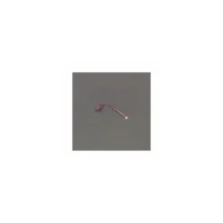 Attache cellophane rouge 9 x 0,7 cm - par 2000