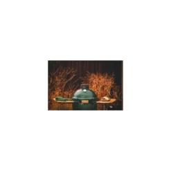 Barbecue Kamado Big Green Egg Medium