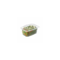 Barquette plastique avec couvercle Ondipack 1000 ml - par 300