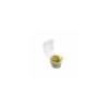 Barquette plastique transparente avec couvercle Ondipack 750 ml - par 50