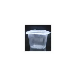Barquette plastique transparente avec couvercle Ondipack 750 ml - par 50
