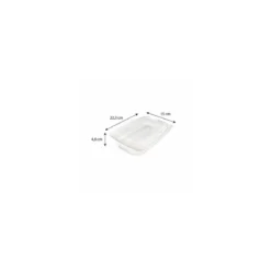 Barquette plastique transparente avec couvercle Ondipack 700 ml - par 50