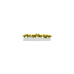 Barrette blanche fleurs de tournesol 25 cm - par 12