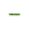 Barrette blanche persil 25 cm - par 12