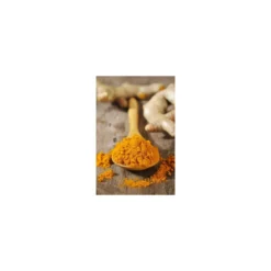 Curcuma pulvérisé - par 5 kg