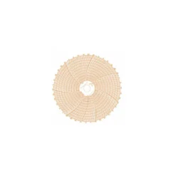 Disque enregistrement R MiniTherm - 35 °C à + 15 °C - par 100
