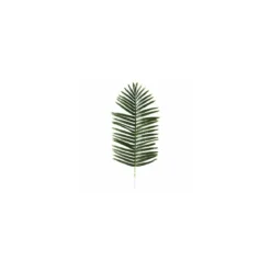 Feuille de palmier 120 x 50 cm