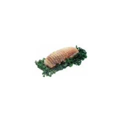 Filet élastique charcuterie polyester simple trame 16 mailles 100 m