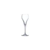 Flute brio 16 cl - par 6