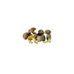 Garniture forestière - par 1 kg