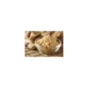 Gingembre pulvérisé - par 1 kg