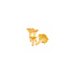 Girolles entières - par 500 g