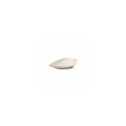 Mini feuille bagasse 90 x 61 x 13 mm - par 50