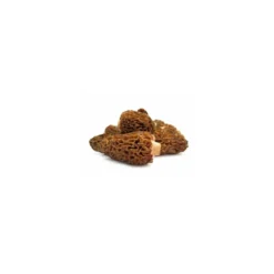 Morille traiteur - par 500 g