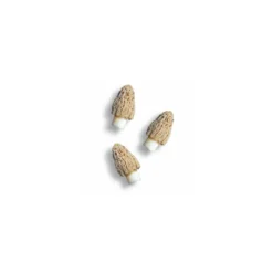 Morillons séchés - par 500 g