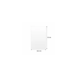 Papier cuisson silicone 2 faces 41 g 53 x 32,5 cm - par 500