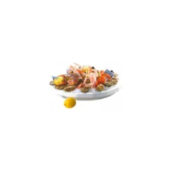 Plateau fruits de mer rond ø 50 cm - par 20