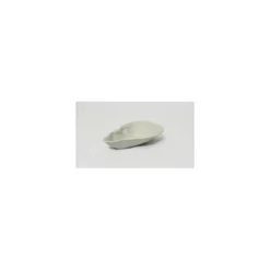Plat huître céramique non émaillé 60 cl - par 20