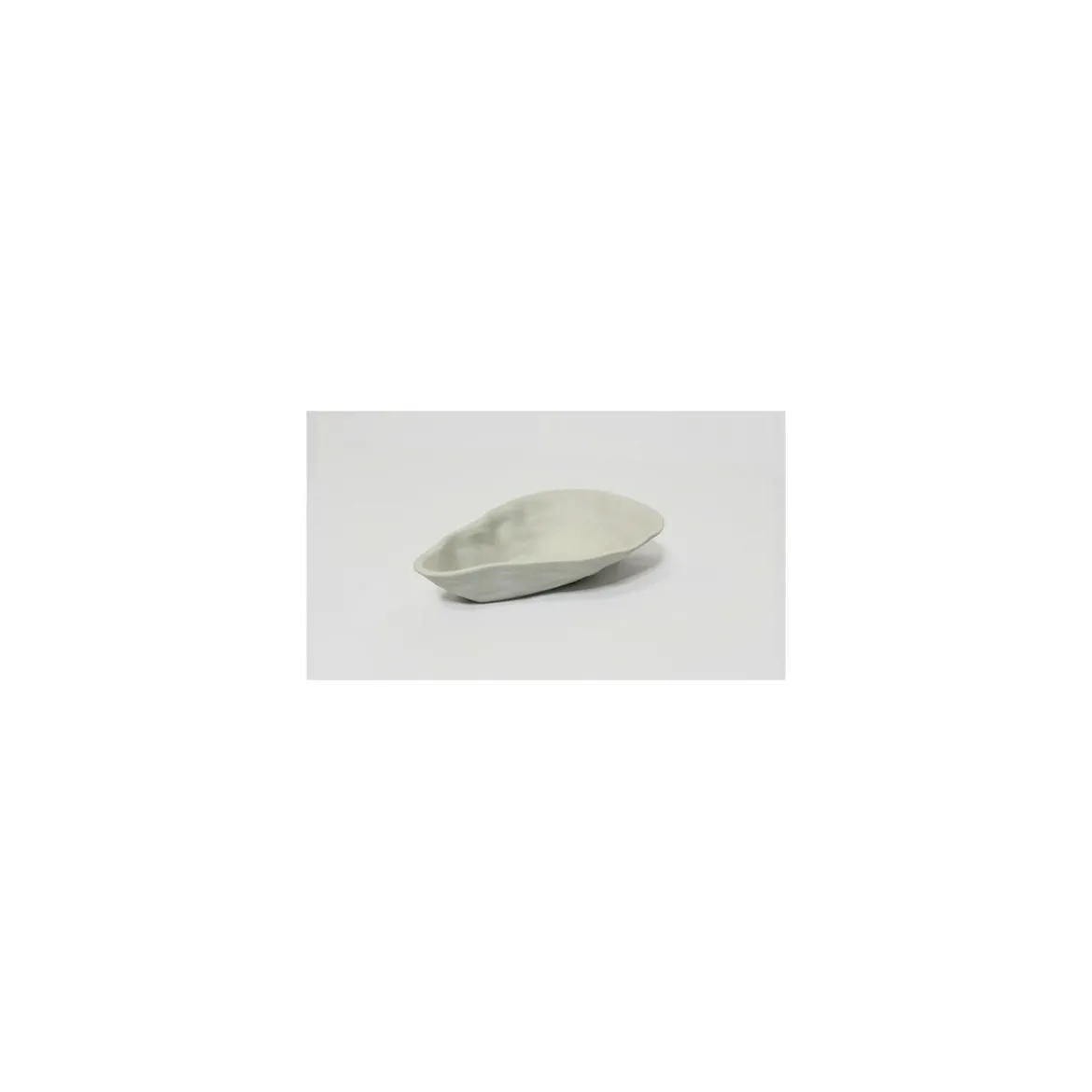 Plat huître céramique non émaillé 60 cl - par 20