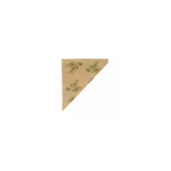 Sachet cône kraft "Feel green" 29,5 x 21 cm - par 250