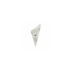 Sachet cône kraft