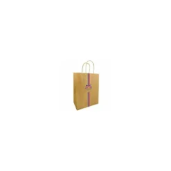 Sac kraft bleu blanc rouge 42,5 x 36 + 12 cm - par 50