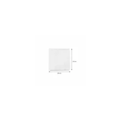 Sac papier blanc 240 x 240 mm - par 500