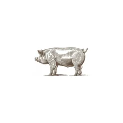 Sang de porc déshydraté - par 20 kg