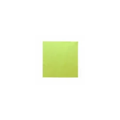 Serviette ouate anis 2 feuilles 39 x 39 cm - par 100