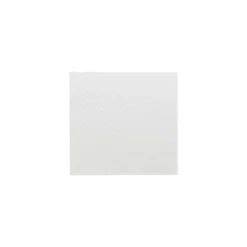 Serviette ouate blanc 30 x 30 cm - par 100