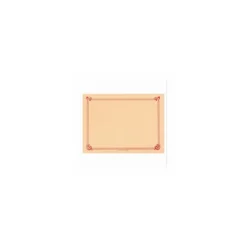 Set de table papier ivoire 31 x 43 cm - par 500