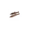 Truite factice 33 x 9 cm - par 2